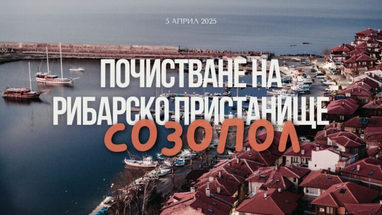Водолази и жители на Созопол почистиха рибарското пристанище