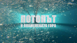 Потопът и вкаменената гора край Созопол