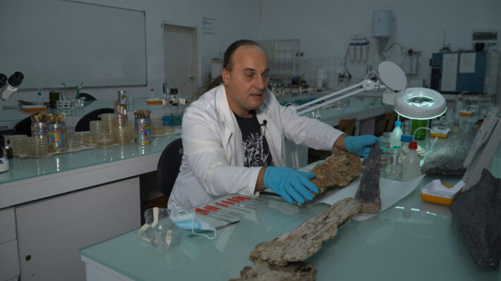 доц.д-р Михаил Илиев